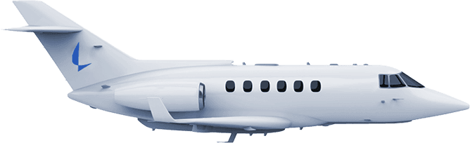 Telemetry and vitals overlay